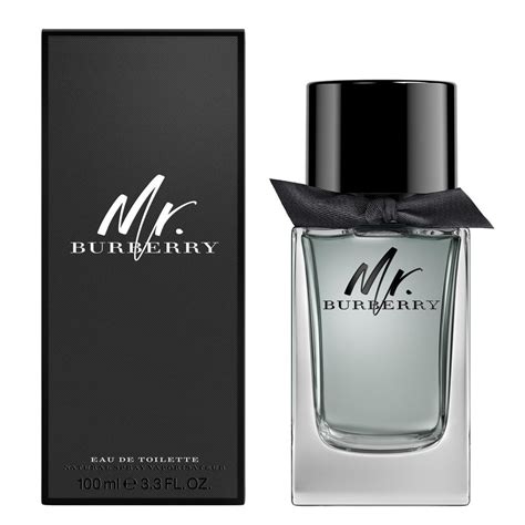 mr burberry ingredienti|burberry cologne for men.